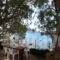 Eleni Goumenaki Plakiasudios_lowest prices_in_Hotel_Crete_Rethymnon_Plakias