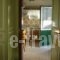 Villa Georgina B&B_lowest prices_in_Villa_Peloponesse_Ilia_Pyrgos