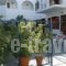 Villa Fantasia_lowest prices_in_Villa_Sporades Islands_Skiathos_Skiathoshora