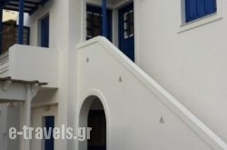 Studios Belli_s __1