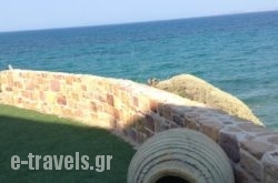 Noufaro Studios_s __1