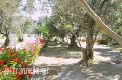 Thendraki Apartments_s __1