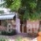 Fani Rooms_best deals_Room_Aegean Islands_Chios_Chios Rest Areas