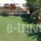 Demestahas Apartments_best deals_Apartment_Peloponesse_Lakonia_Gythio