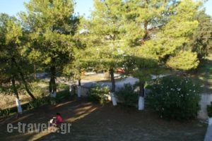 Tota Studios_best prices_in_Hotel_Ionian Islands_Zakinthos_Zakinthos Rest Areas