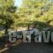 Tota Studios_best prices_in_Hotel_Ionian Islands_Zakinthos_Zakinthos Rest Areas