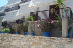 Pension Dimitra_holidays_in_Hotel_Sporades Islands_Skopelos_Skopelos Chora