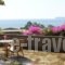 Cavo Grosso_best deals_Hotel_Peloponesse_Lakonia_Gythio