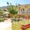 Studios Olga_best deals_Hotel_Aegean Islands_Thasos_Thasos Rest Areas