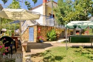 Studios Olga_travel_packages_in_Aegean Islands_Thasos_Thasos Rest Areas