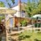 Studios Olga_travel_packages_in_Aegean Islands_Thasos_Thasos Rest Areas