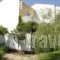 Malemi Organic Hotel_holidays_in_Hotel_Aegean Islands_Lesvos_Kalloni