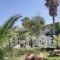 Malemi Organic Hotel_best prices_in_Hotel_Aegean Islands_Lesvos_Kalloni
