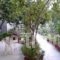 Studios Maro_lowest prices_in_Hotel_Aegean Islands_Lesvos_Kalloni