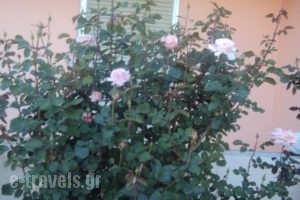Paradise_lowest prices_in_Hotel_Aegean Islands_Chios_Chios Chora