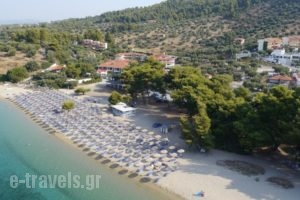 Lagomandra Hotel and Spa_best prices_in_Hotel_Macedonia_Halkidiki_Haniotis - Chaniotis