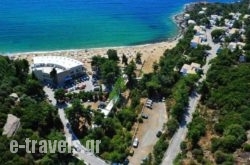 Tosca Beach Bungalows_s __1