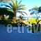 Studios Stefani_lowest prices_in_Hotel_Aegean Islands_Lesvos_Petra