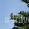 Maridatis Apartments_accommodation_in_Apartment_Crete_Lasithi_Sitia