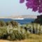 Maridatis Apartments_holidays_in_Apartment_Crete_Lasithi_Sitia