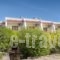 Lemon Tree Pefkos Apartments_travel_packages_in_Dodekanessos Islands_Rhodes_Pefki