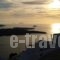 Artemisia Apartment_travel_packages_in_Cyclades Islands_Sandorini_Fira