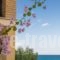 Calypso Studios_holidays_in_Hotel_Ionian Islands_Zakinthos_Zakinthos Rest Areas