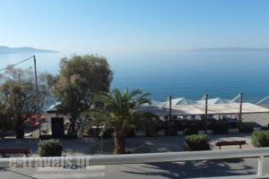 Hotel Alexandrion_holidays_in_Hotel_Thessaly_Magnesia_Pilio Area