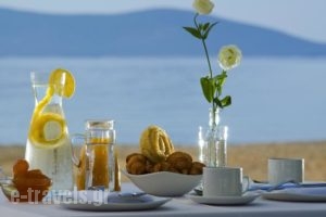 Makis Inn Resort_best deals_Hotel_Peloponesse_Argolida_Ermioni
