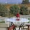 Anemones Studios_holidays_in_Hotel_Cyclades Islands_Paros_Paros Chora