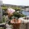 Chriason Studios & Apartments_travel_packages_in_Sporades Islands_Skyros_Skyros Rest Areas