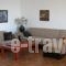 Chrysa Villa_holidays_in_Villa_Crete_Rethymnon_Plakias