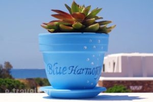 Blue Harmony Apartments_best deals_Apartment_Cyclades Islands_Naxos_Naxos chora