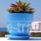 Blue Harmony Apartments_best deals_Apartment_Cyclades Islands_Naxos_Naxos chora