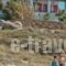 Ydreos Studios & Apartments_lowest prices_in_Apartment_Cyclades Islands_Naxos_Mikri Vigla
