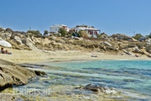 Ydreos Studios & Apartments_best deals_Apartment_Cyclades Islands_Naxos_Mikri Vigla