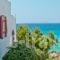 Ydreos Studios & Apartments_best prices_in_Apartment_Cyclades Islands_Naxos_Mikri Vigla