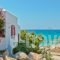Ydreos Studios & Apartments_travel_packages_in_Cyclades Islands_Naxos_Mikri Vigla
