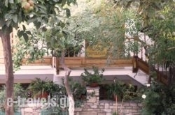 Pension Dryoussa_s __1
