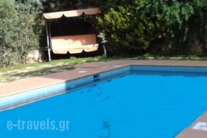 Villa Phaedra_holidays_in_Villa_Crete_Rethymnon_Rethymnon City