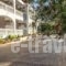 Ragias Studios_best prices_in_Hotel_Ionian Islands_Zakinthos_Zakinthos Rest Areas