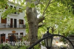 Gastronomy Hotel Kritsa_s __1