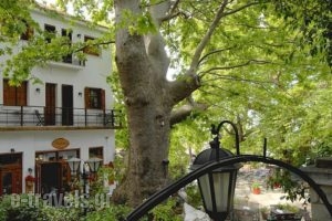 Gastronomy Hotel Kritsa_accommodation_in_Hotel_Thessaly_Magnesia_Portaria