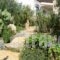 Alkionides Villas_best deals_Villa_Crete_Lasithi_Sitia