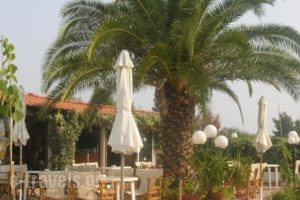 Haris Hotel_holidays_in_Hotel_Macedonia_Halkidiki_Haniotis - Chaniotis