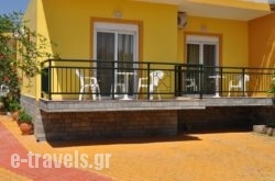 Studios Metaxas_s __1