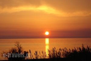 Castello Apartments_best prices_in_Apartment_Crete_Chania_Sfakia