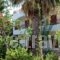 Ekati Apartments_holidays_in_Apartment_Crete_Heraklion_Stalida