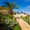 Bella Vista Apartments Stalis_lowest prices_in_Apartment_Crete_Heraklion_Malia