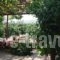 Manganos Apartments_best deals_Apartment_Aegean Islands_Chios_Chios Rest Areas